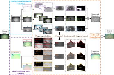 Low-illumination underwater image enhancement based on non-uniform illumination correction and adaptive artifact elimination